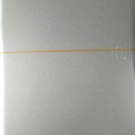 牛島商店 - 唐揚げ弁当(小盛り、ニンニクあり)￥450