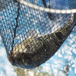 博多の砦 しゃぶしゃぶ・水炊き・もつ鍋 鍋やなだ山 - 