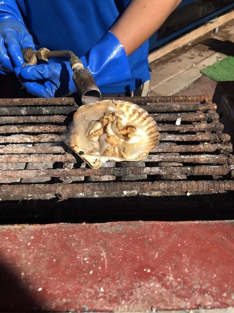 蟹商 本店（カニショウ） - 函館駅前（その他）の写真