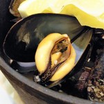 VINSENT - 美味しいけど何かに似てるｗ