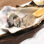 すし処金太郎 - 生牡蠣