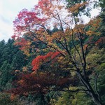 Takao Rengaya - 高尾山や陣馬山、景信山の秋の行楽の季節になりました。
      行楽の後は高尾駅で下車し、美味しい料理とお酒をどうぞ。
      ご行楽と思い出に登山や武蔵野陵や森林公園の後、煉瓦屋でお待ちしております。