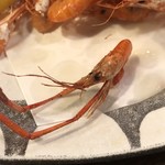 駒形どぜう 渋谷店 - 