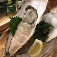 鯖とか烏賊とか真とか - 
