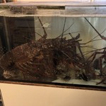 漁火 - 伊勢海老食べたい（涙）