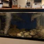 漁火 - フグも食べたい