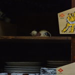 独酌　三四郎 - スクープ！。先代より引き継がれている招き猫（神扱い）