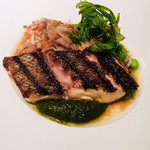 ロドラント ミノルナキジン - 