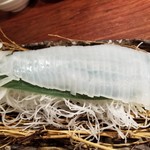 渋谷イカセンター - 