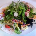 101アンゼロアン - ランチ。