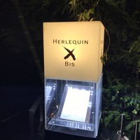 エルルカン・ビス - 