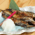 居酒屋 蔵家 - 日光干し