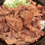 カルビ丼とスン豆腐専門店 韓丼 - カルビ丼＋肉盛り。540円+150円