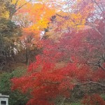 寶園堂 - 長谷寺の紅葉