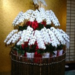 日本の宿 古窯 - 胡蝶蘭