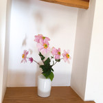 まん作 - (｡•ᴗ•｡)♡