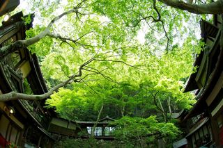 Meiji No Mori Mino Ooto Wa Sansou - 国定公園明治の森にたたずむ邸宅