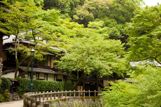 Meiji No Mori Mino Ooto Wa Sansou - 大滝までの滝道沿いに佇む料理旅館