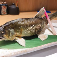柳家錦 - 