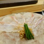 あま木 - ［2018/10］酒肴③ 大山水道産くえの刺身 湯引きした皮 わけぎ 焼き塩 わさび