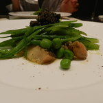 パラッツォ アドリアーノ - 