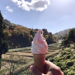 七兵衛そば - そばソフトクリーム ¥250