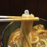 カレーうどん 鯱乃家 - 麺リフト