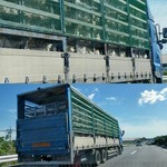 弥惣吉 - 遭遇した、鶏トラック！