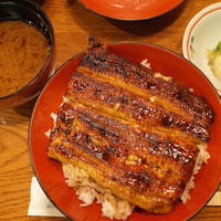 吉寅 - 