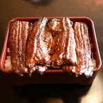 Unagi No Matsuka - 超特大鰻が一尾半