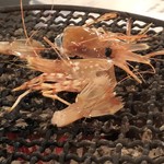 津軽海峡鮮魚店 - 