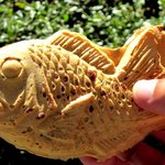 仲屋たいやき店 - 熱々出来たて！生きの良さそうな姿！(2011,09/25)