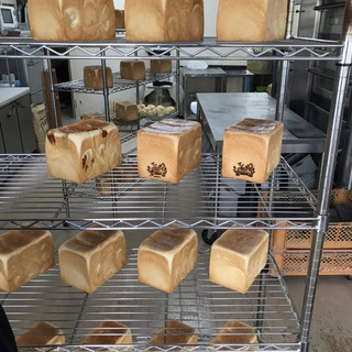 ハカタショクパンヤ_0