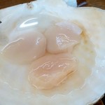 レストハウスところ - レストハウス ところ＠常呂町　帆立づくし定食　塩茹で
