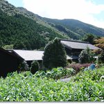 農家民宿 里屋敷 - 裏からの風景