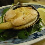 よってけふうちゃん - 大アサリ