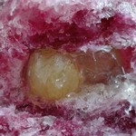 95408416 - Wぶどうは中に果実入りのゼリー