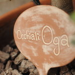 Occhiali Oga - 