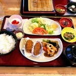 ごはんCafé 四六時中 - 純輝鶏の黒酢和え＆カキフライ定食