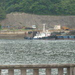 しみず食堂 - 食堂裏の景色