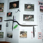 しみず食堂 - 福石猫ｶﾞｲﾄﾞ