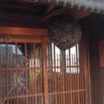 居酒屋 おかってば - 
