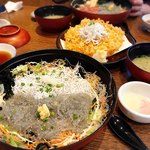 とびっちょ - 生しらす釜揚げしらす2色丼etc