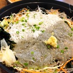 とびっちょ - 生しらす釜揚げしらす2色丼