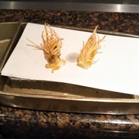 熊魚菴 たん熊北店 東京ドームホテル店 - 