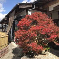 柳家 - 