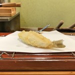 江戸前晋作 - 鱚