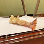 江戸前晋作 - 車海老（レア）