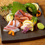 Assortment of 5 types of sashimi