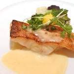 カランドリエ - ホウセキハタ